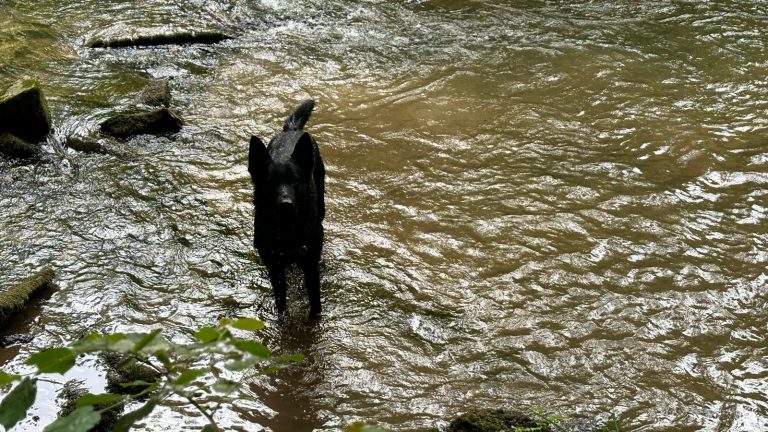 Der Sauerländer Sommer geht weiter